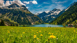 Fototapeta Krajobraz - Vilsalpsee im Frühling mit Blumenwiese und Berge im Hintergrund Tannheimer Tal Österreich