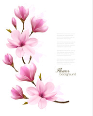 Poster - Nature background with blossom branch of pink magnolia. Vector