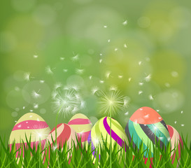  Happy easter eggs. Spring background with white dandelions