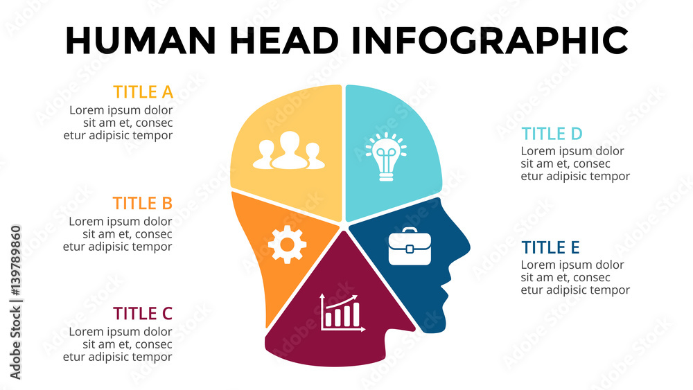 Nice Head Flowchart Vector brain infographic. Template for human head diagram, knowledge ...