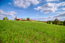 Green Field, Red Farm Small Houses And Blue Sky With Clouds