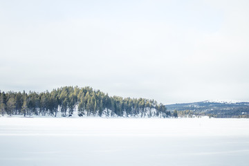 A beautiful landscape of a frozen plains in a snowy Norwegian winter day