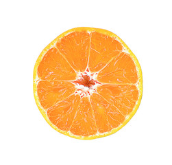 Slice of fresh orange closeup isolated on white background