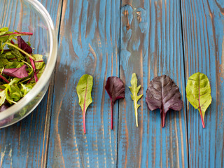 Fresh salad plate with mixed greens (arugula, mesclun, mache) on dark wooden background top view. Healthy food. Green meal.