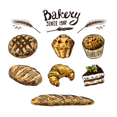 Wall Mural - Hand drawn vector illustration bakery.