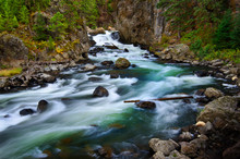 Whitewater River Flowing Past Rocks In Wilderness