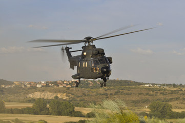 Poster - Helicóptero Super Puma despegando