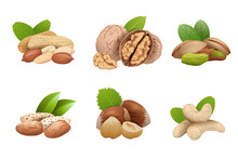 Nuts Set