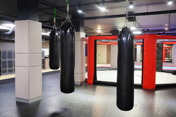 Wall Mural - Interior of a boxing hall