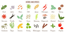 Big Set Of Simple Flat Culinary Herbs And Spices . Silhouettes