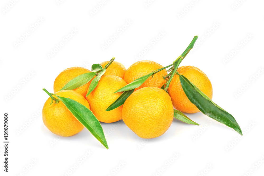 Set of tangerines with leaves on white background