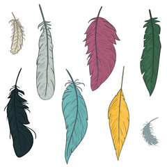 Wall Mural - Set of hand drawn feathers on white background. Vector illustration in vintage retro style.