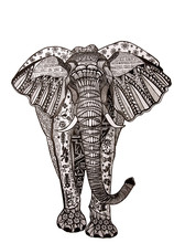 Doodle Illustration Elephant Isolated On White Background.