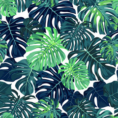 Green vector pattern with monstera palm leaves on dark background. Seamless summer tropical fabric design.