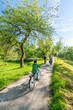 Familie auf Fahrradtour im Park im Frühling oder Sommer