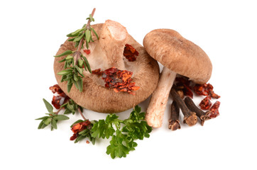 Wall Mural - mushrooms with herbs