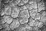 Fototapeta Nowy Jork - Background of dry cracked soil dirt or earth during drought