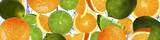 Fototapeta Panele - Oranges and limes in the water