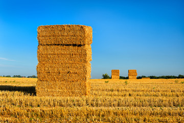 Wall Mural - Bales of Straw in Stubble Field during Harvest, Summer Landscape under Blue Sky