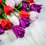 Fototapeta Tulipany - Bright tulips on a light background