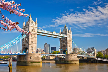 Wall Mural - Tower bridge at spring, London