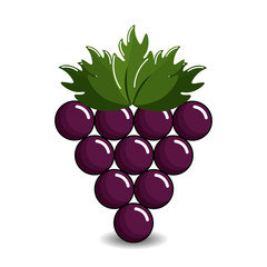 Poster - grape cluster icon image