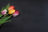 Fototapeta Tulipany - Bouquet of tulips on a black background. Spring background. The image is isolated. Selective focus. With love.