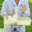 laboratory in the open air, chemistry show