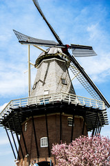 Looking up at the windmill