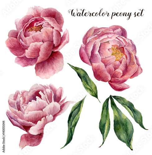 Watercolor peony set Canvas Print