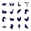 Set of 16 bird filled icons