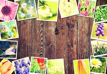 Spring Floral Frame Made Of Pictures With Plants And Flowers On Brown Wooden Background.