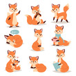 Fox cute adorable character doing different activities funny happy nature red tail and wildlife orange forest animal style graphic vector illustration.