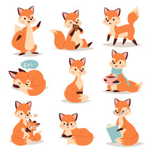 Fox Cute Adorable Character Doing Different Activities Funny Happy Nature Red Tail And Wildlife Orange Forest Animal Style Graphic Vector Illustration.