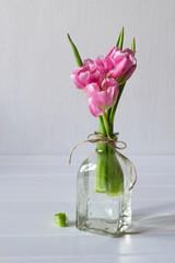 Wall Mural - Fresh pink tulip flowers bouquet in a glass jar on white background