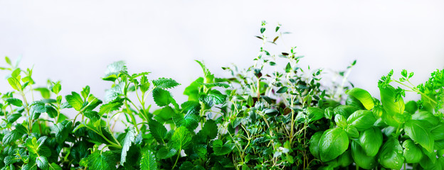 Green fresh aromatic herbs - melissa, mint, thyme, basil, parsley on white background. Banner collage frame from plants. Copyspace. Top view.