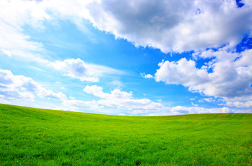 Wall Mural - summer landscape with green grass and blue sky.