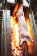 Pig slaughter plant burning bristles