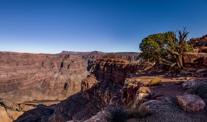 Sticker - Panoramic view of Grand Canyon West Rim - Arizona, USA