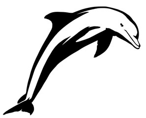 black and white linear paint draw dolphin illustration