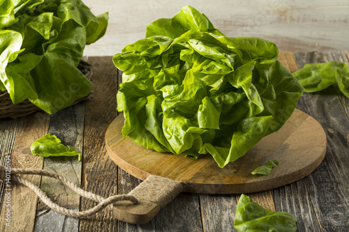 Cuadros en Lienzo Raw Green Organic Boston Butter Lettuce