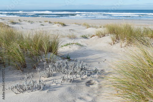 Obraz plaża   piaszczysta-plaza-z-trawa
