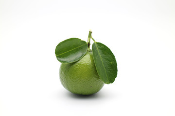 Green Lime