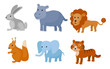 Zoo wild animals colorful set. Vector illustration.