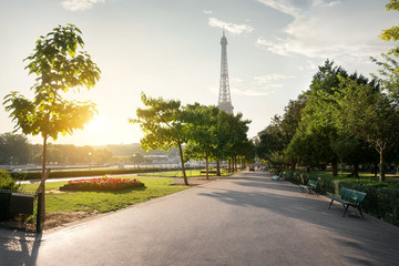 Wall Mural - calm morning in paris