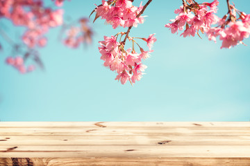 Wall Mural - top of wood table empty ready for your product and food display or montage with pink cherry blossom 