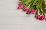 Fototapeta Tulipany - Pink tulips on a white wooden table. background