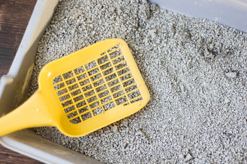 Wall Mural - Yellow plastic scoop on the gray litter box, filled by blue litter sand