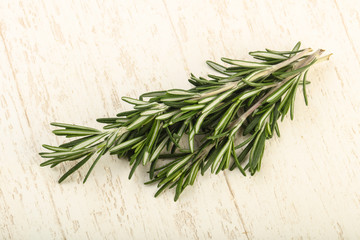 Rosemary branches