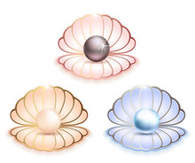 Sea Shells With Large Pearls Logo Icons In Gold-framed Illustration White Background
Blue, Pink And Gold Sea Shells With Black, Blue And Gold Pearls